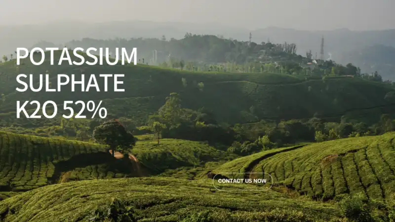 product-753-502 product-753-502