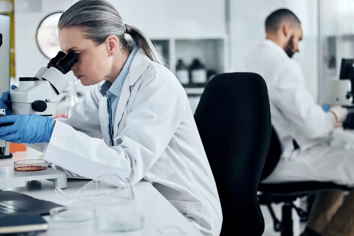 What are the Uses of OEM Polyaluminum Chloride in Water Treatment?