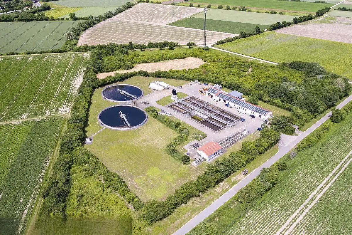 Can Ammonium Sulfate Boost Crop Yield Efficiently?