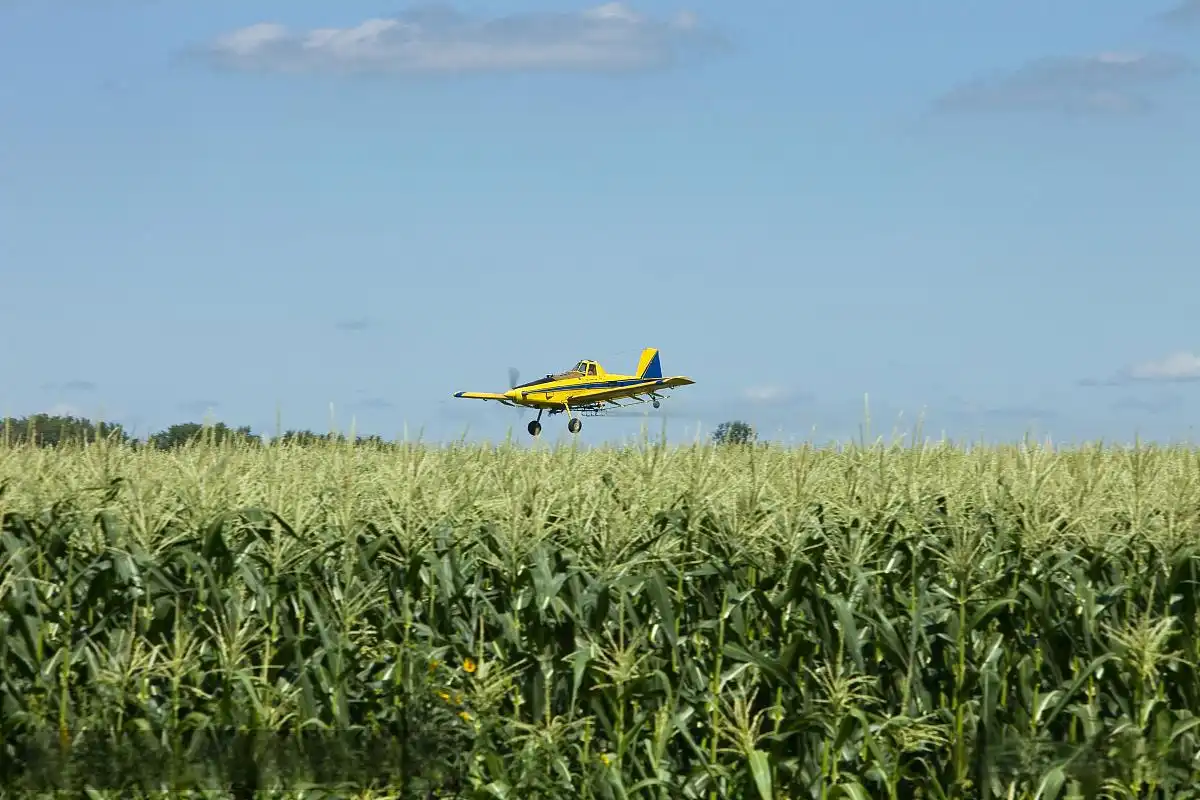 What’s the Best Storage Method for Bulk Ammonium Sulfate?