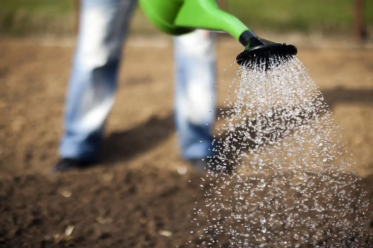 Is Potassium Sulfate the Same as Potash?