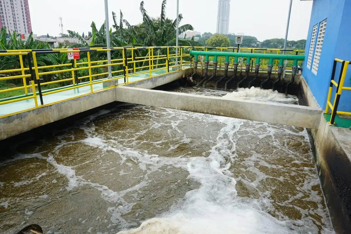 What are the Benefits of Using Flocculants in Sewage Treatment?