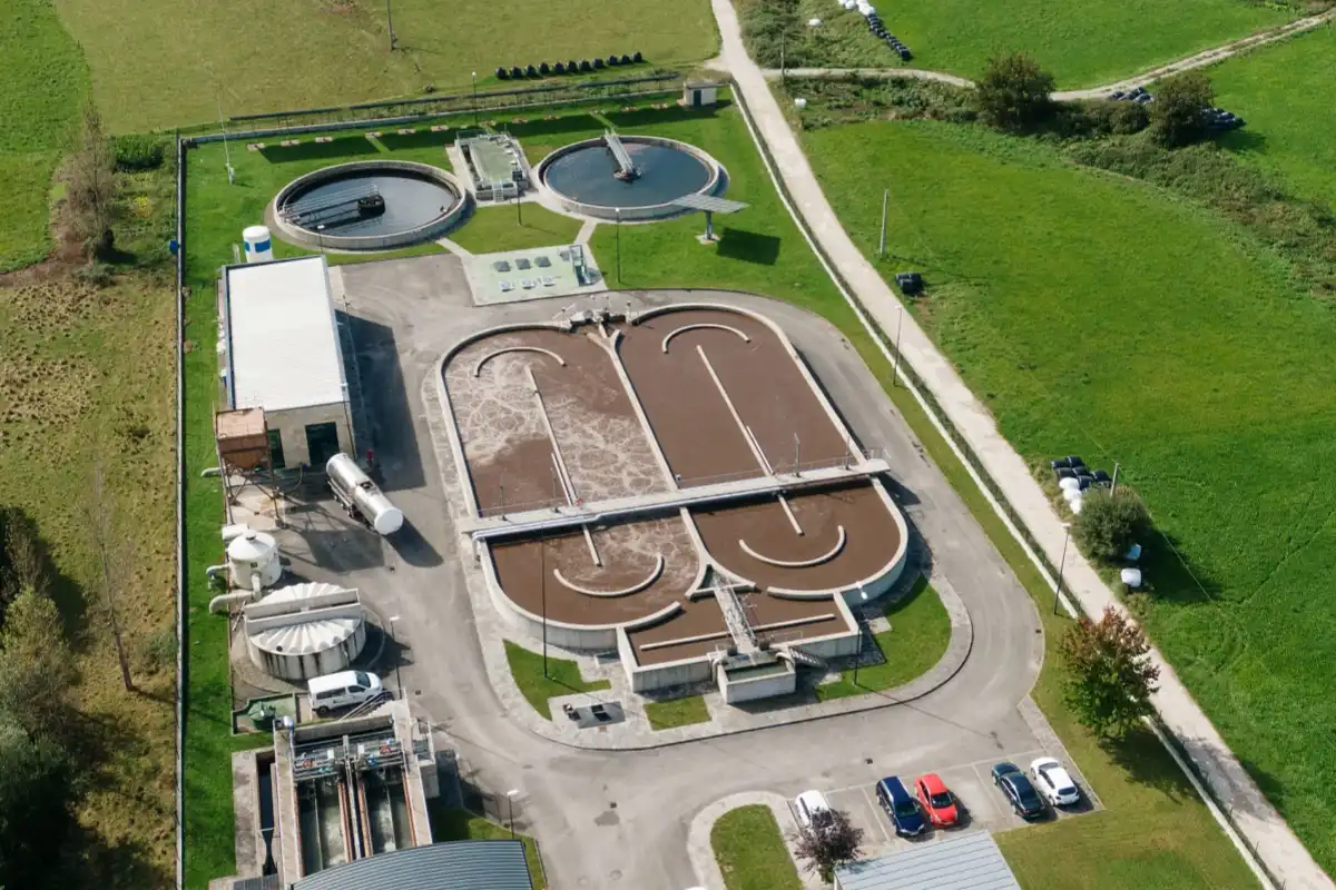 What is a Highly Effective Organic Decolorizer?