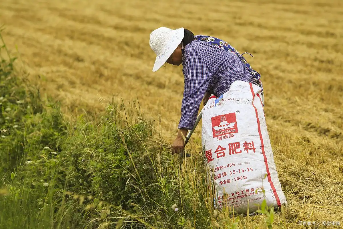 What Crops Benefit Most from Organic Potassium Sulfate Fertilizer?