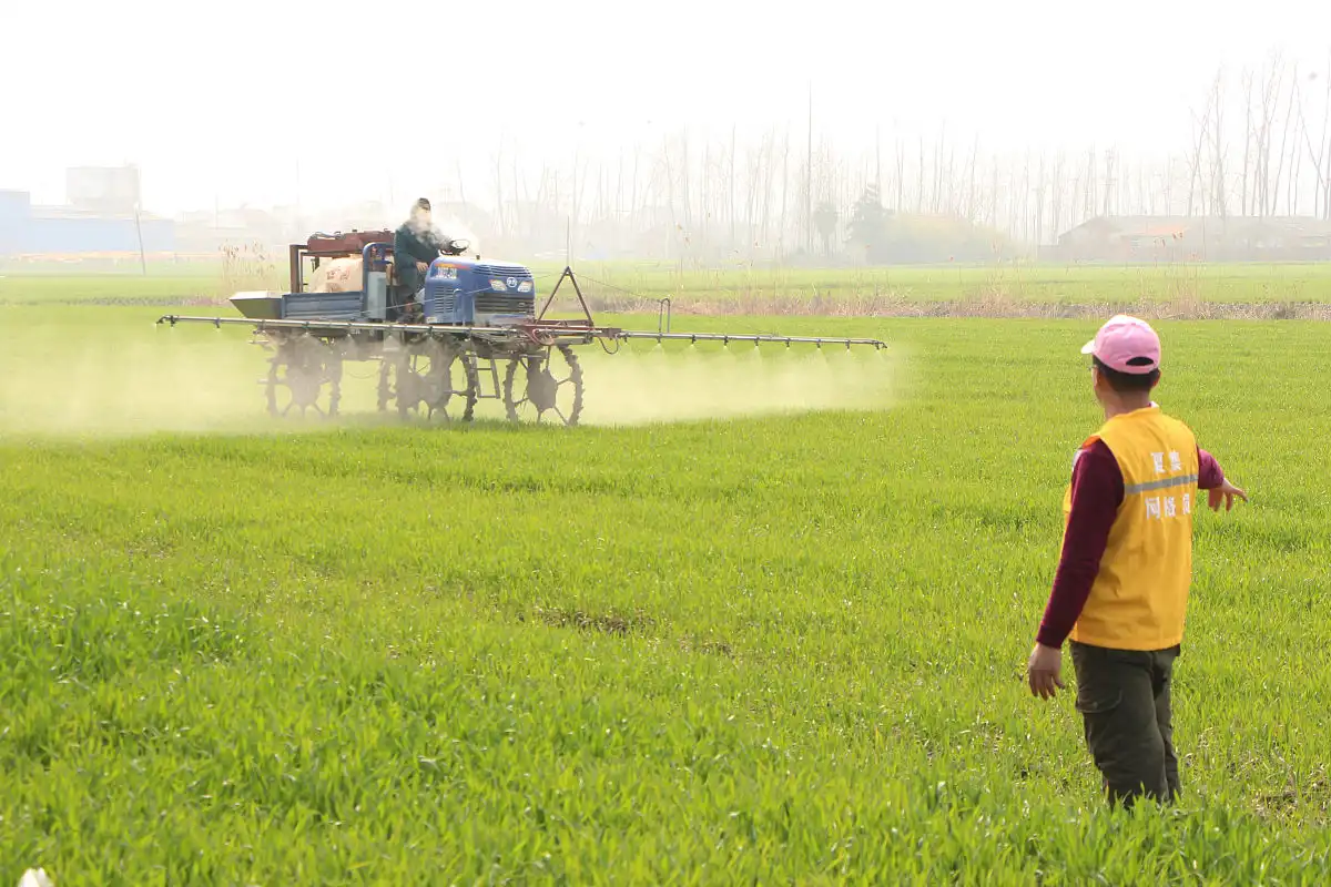 How Does Potassium Sulfate Organic Fertilizer Improve Soil Health?