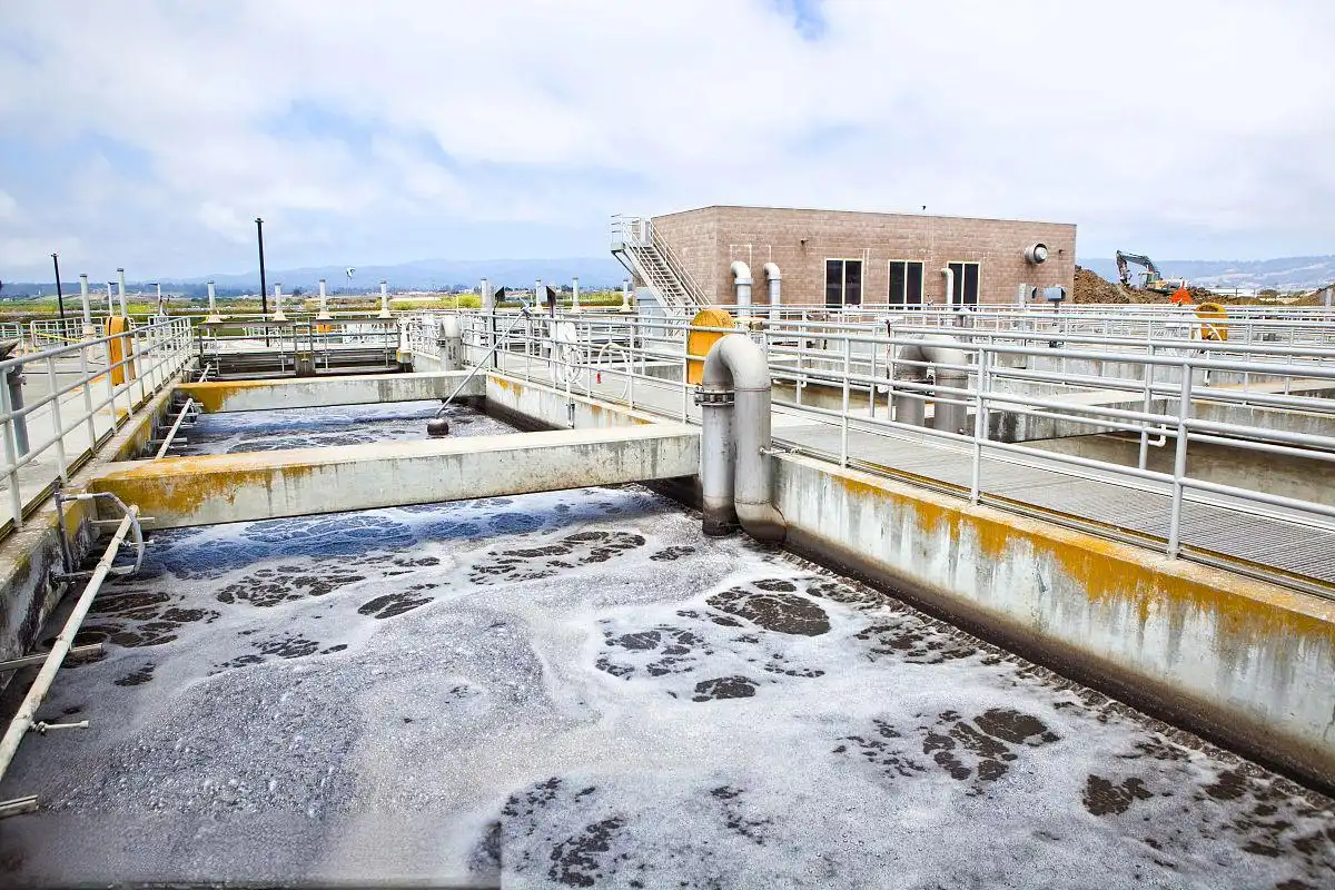 What Are the Chemical and Physical Properties of Cationic PAM?